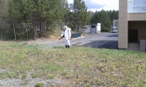 20170520_132010
